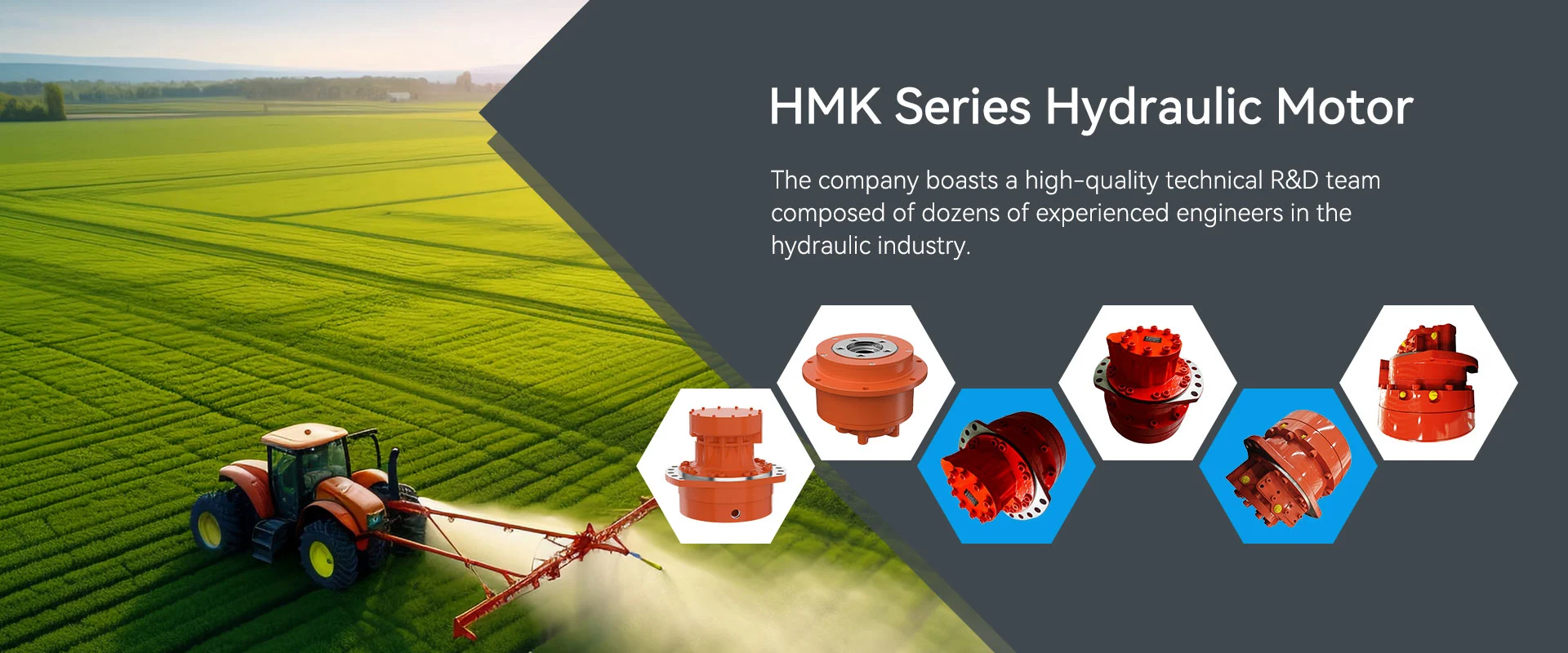 Kina HMK -serie hydraulisk motor